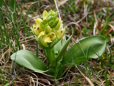 Foto: Resort Valachy Velké Karlovice