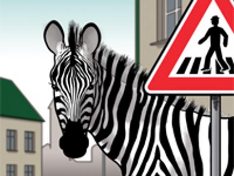 Ilustrační foto (Foto: Policie ČR)
