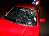 srážka s jelenem (Foto: Policie ČR)