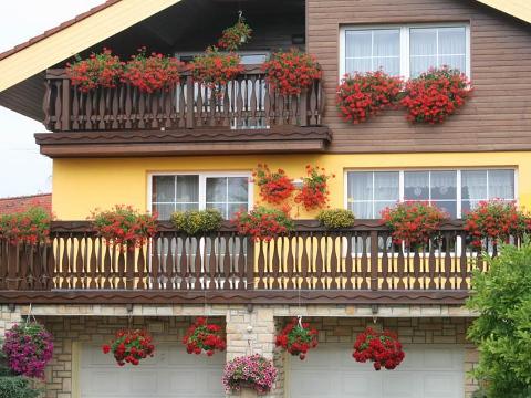 Kvetoucí město 2013 (Foto: MěÚ Rožnov pod Radhoštěm)