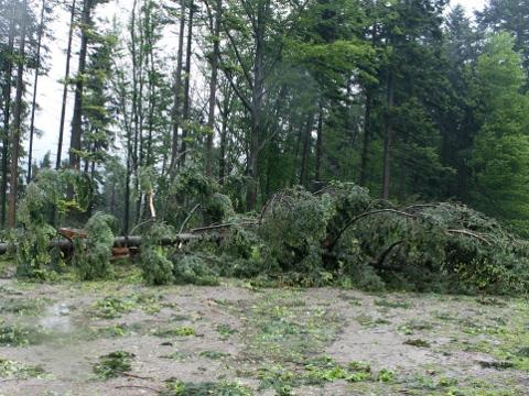 Foto: MěÚ Rožnov pod Radhoštěm