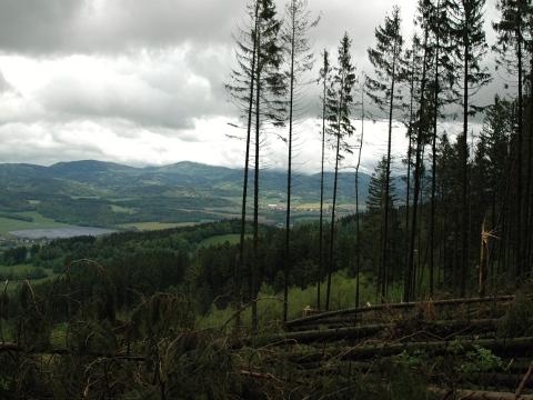 Foto: MěÚ Valašské Meziříčí