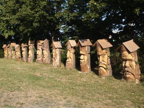 Ilustrační foto (Foto: Český svaz ochránců přírody)