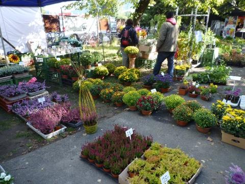 Ilustrační foto (Foto: www.valasskazahrada.cz)