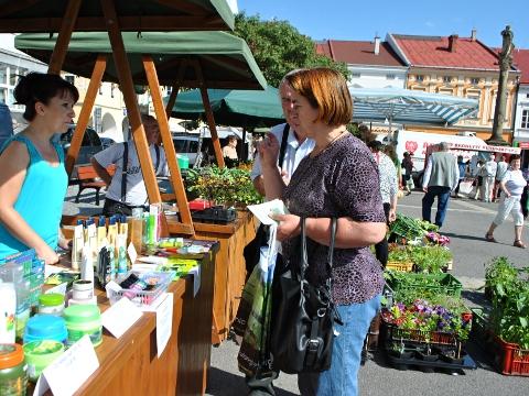 Ilustrační foto (Foto: MěÚ Valašské Meziříčí)