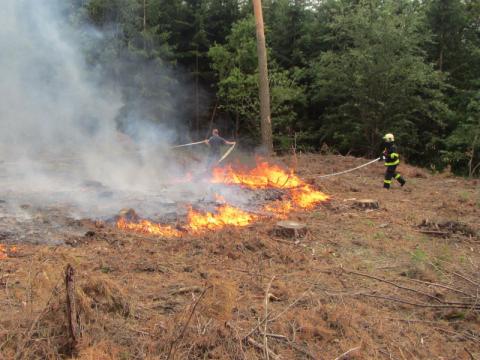 Lesní požár v obci Ostrata (Foto: www.hzszlk.eu)