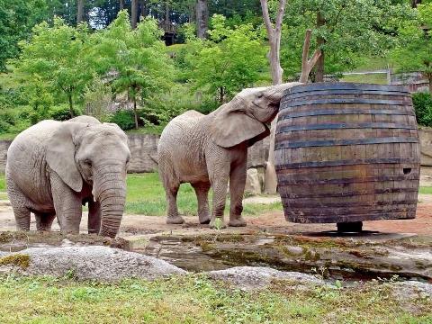 Foto: Facebook ZOO a zámek Zlín - Lešná