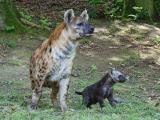 Foto: Facebook ZOO a zámek Zlín - Lešná