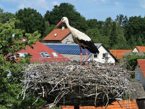 foto: ČSOP Valašské Meziříčí 