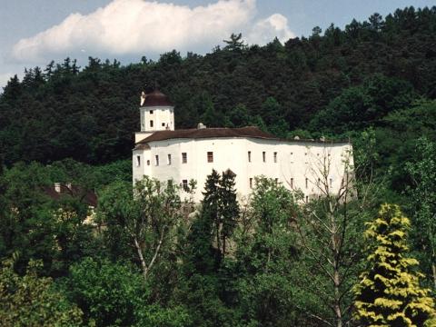 Hrad Malenovice (Foto: MJVM)