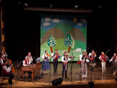 Ilustrační foto (Foto: CCRVM)