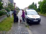 Zlínští strážníci se zaměří na pejskaře (Foto: MP Zlín)