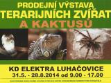 Ilustrační foto (Foto: MDK Elektra Luhačovice)