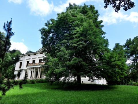 Lidé mohou rozhodnout o Stromu roku (Foto: Archiv Muzea regionu Valašsko)