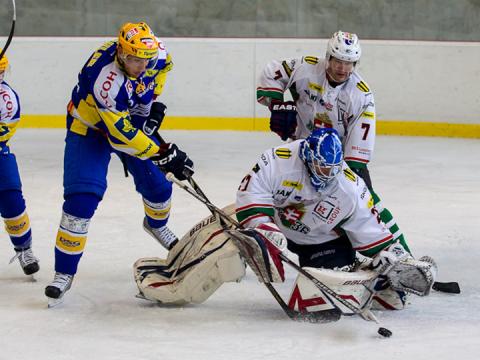 Úspěšný vstup do turnaje Rona Cup v Trenčíně (Foto: hokej.zlin.cz)