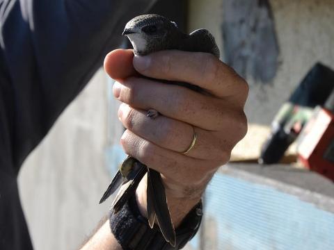 Foto: MěÚ Rožnov pod Radhoštěm