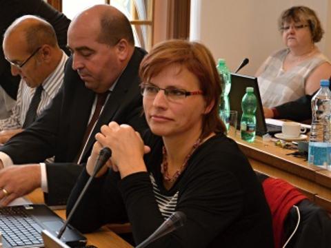 ředitelka Diakonie ČCE Zdislava Odstrčilová (Foto: MěÚ Valašské Meziříčí)