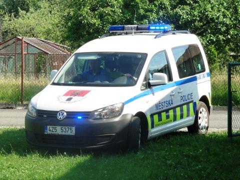 Ilustrační foto (Foto: Městská policie Rožnov pod Radhoštěm)