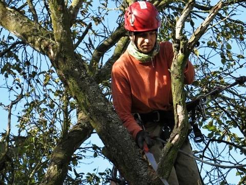 Foto: Miroslav Dvorský