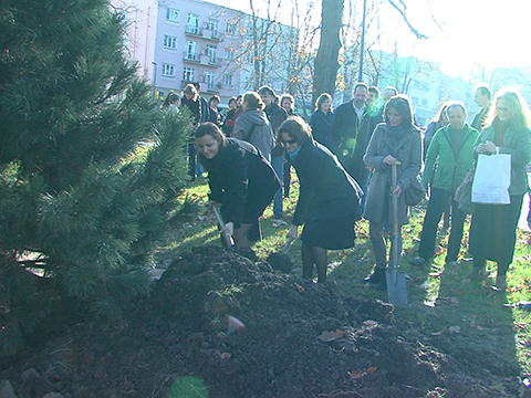 Zasazení borovice v parku Komenského (Foto: Televize Zlín) Zasazení borovice v parku Komenského (Foto: Televize Zlín)