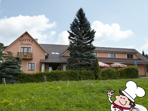 Ilustrační foto (Foto: Facebook Hotel-Sirákov)
