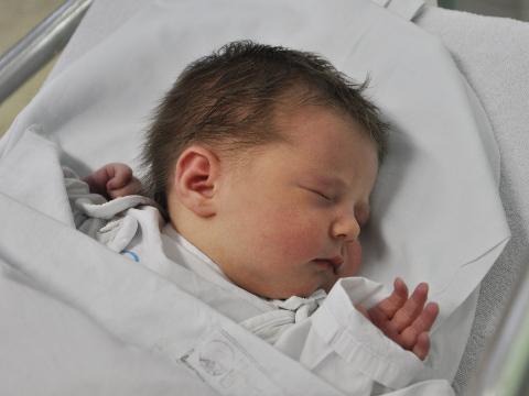 Adélka (Foto: Vsetínská nemocnice a.s.)