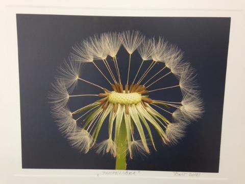 Výstava fotografií Arnošta Bartoše (Foto: MěÚ Otrokovice)