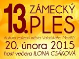 Ilustrační foto (Foto: MěÚ Valašské Meziříčí)
