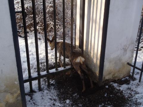 Foto: HZS Zlínského kraje