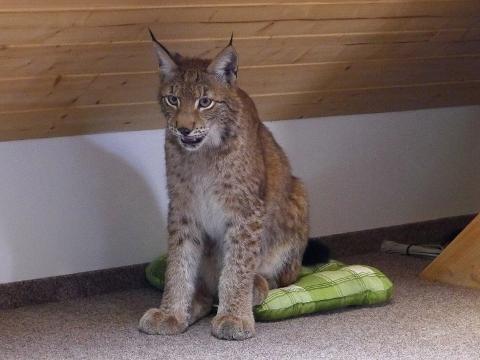 Foto: MěÚ Valašské Meziříčí