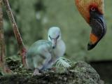 Foto: Facebook ZOO a zámek Zlín - Lešná