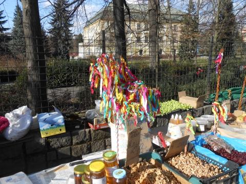 první poslové jara (Foto: Zlin.cz)