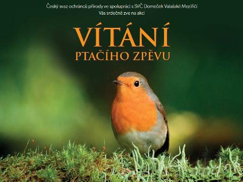 Ilustrační foto (Foto: MěÚ Valašské Meziříčí)