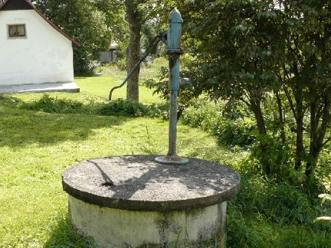 Ilustrační foto (Foto: Wikimedia - Biodedek)