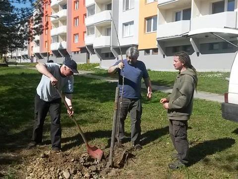 Foto: MěÚ Valašské Klobouky