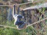 Foto: Archiv ZOO Zlín