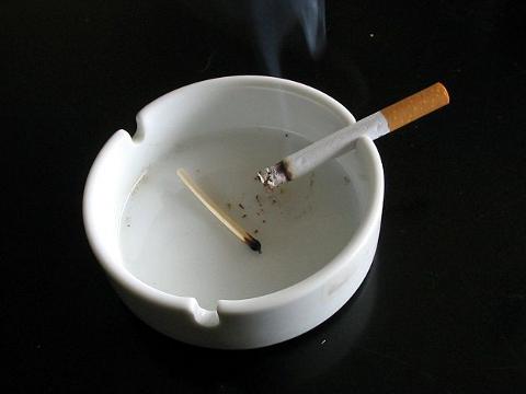 Ilustrační foto (Foto: Wikimedia - Tomasz Sienicki)