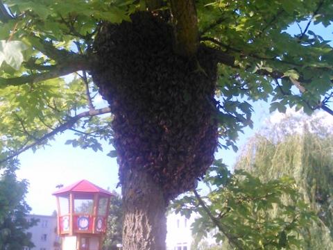 Foto: MěÚ Valašské Meziříčí