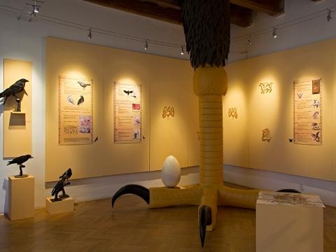 Foto: www.muzeum-km.cz