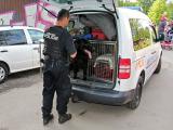 Foto: Městská policie Zlín Foto: Městská policie Zlín