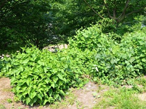 Ilustrační foto (Foto: MěÚ Valašské Meziříčí)