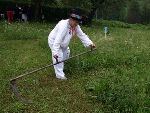 Ilustrační foto (Foto: Radovan Kocúrek)