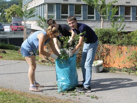 Studenti uklízí areál nemocnice (Foto: KNTB)