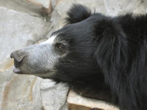 Foto: ZOO a zámek Zlín - Lešná