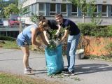 Studenti uklízí areál nemocnice (Foto: KNTB)