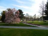 Park Komenského Zlín (Foto: www.vikendotevrenychzahrad.cz)