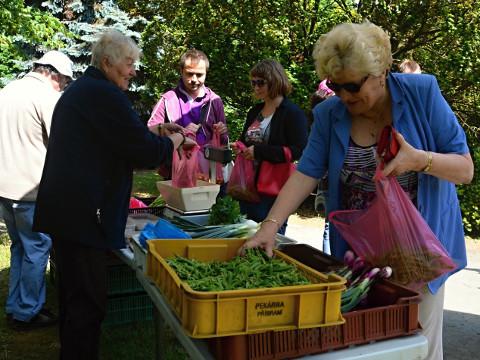 Farmářské trhy  (Foto: MÚ Valašské Meziříčí)