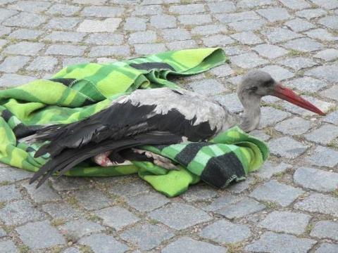 Foto: HZS Zlínského kraje