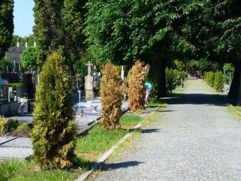 Foto: MěÚ Holešov