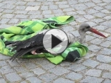 Foto: HZS Zlínského kraje